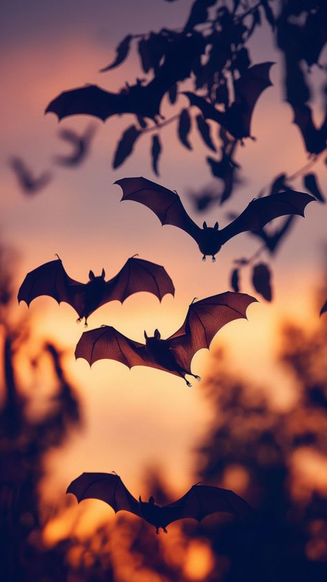 Witchy Halloween Background, Bat Phone Background, Cute Fall Iphone Wallpaper Aesthetic, October Phone Background, Autumn Magic Aesthetic, Wallpaper Iphone October, Bat Wallpaper Aesthetic, Samhain Wallpaper, Amazing Wallpapers For Phone