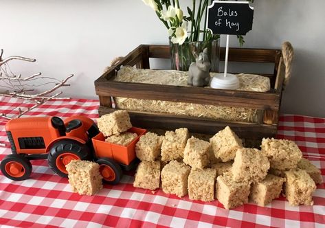 Pulled Pork Table Set Up, Our Buckaroo Is Turning Two, First Rodeo Birthday Table Decor, Nursery Themes Farm, Our First Rodeo Twin Birthday, Rustic Farm Birthday Party, Highland Cow First Birthday Party, Cow Party Favors, Party Ideas Kids