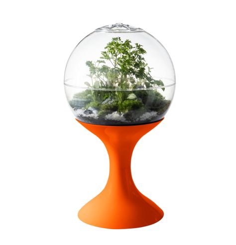 Potifiv Atomic Space Age Terrarium | Beautify Your Space With Plants Vintage Terrarium, Atomic Space Age, Mid Century Planter, Unusual Furniture, Space Age, Modern Vintage, Atom, Terrarium, To Tell