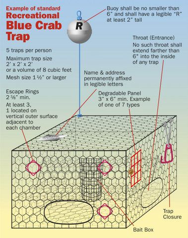 Crab Trap, Stone Crab, Schematic Drawing, Florida Fish, Crab Fishing, Fishing Supplies, Blue Crab, Fish Camp, Wildlife Conservation