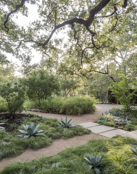 Curb Appeal: 10 Landscaping Ideas for a Low-Water Garden - Gardenista Stone Walkways, Low Water Landscaping, Low Water Gardening, Gravel Garden, Low Maintenance Garden, Ground Cover Plants, Native Garden, Landscaping Tips, Modern Landscaping