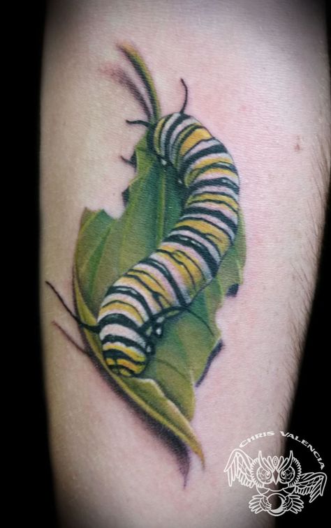 Caterpillar Tattoo, Monarch Tattoo, Metallica Tattoo, Honey Bee Tattoo, Monarch Butterfly Tattoo, Bug Tattoo, Insect Tattoo, Tattoo Pictures, Wicked Tattoos