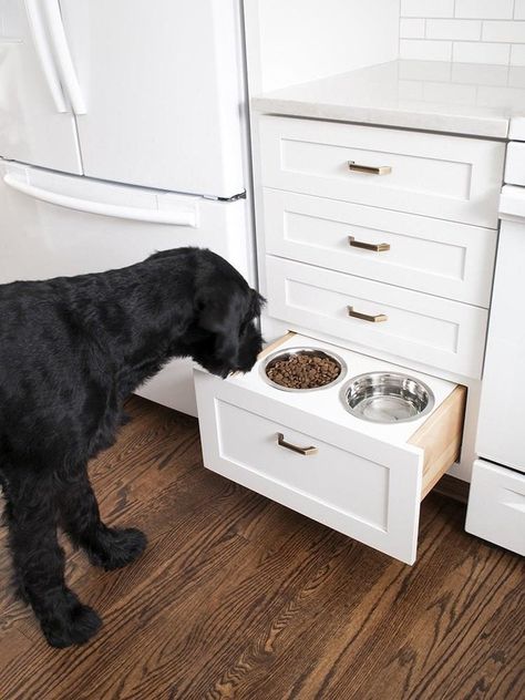 For the Dogs: 11 Crazy Home Upgrades Made by Pet Owners - Bob Vila Dog Feeder Diy, Indoor Gates, Best Stand Mixer, Inside Cabinet, Diy Giveaway, Crazy Home, Kitchen Necessities, Dog Rooms, Dog Feeder