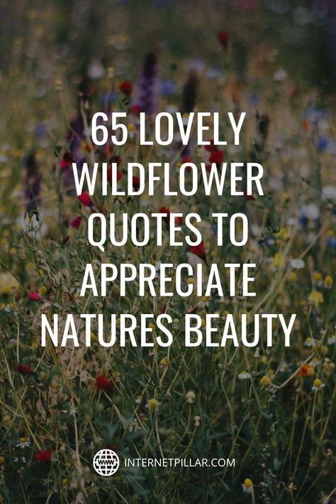 Wild Free Quotes, Wildflower Captions, Wild Flowers Quotes, Wildflower Meaning, Positive Nature Quotes Inspirational, Quotes About Flowers Inspirational, Wild Quotes Nature, Wildflower Love Quotes, Flower Sayings Quotes