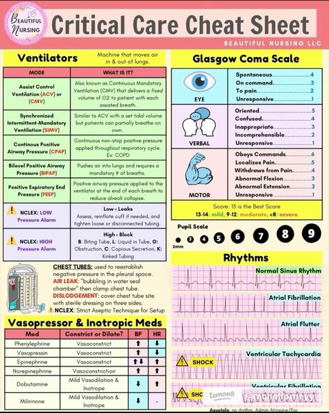 Nursing School Studying Cheat Sheets, Medical Assistant Student, Nursing School Essential, Nursing Study Guide, Nursing School Motivation, Questions With Answers, Nurse Study Notes, Nursing Mnemonics, Nursing Student Tips