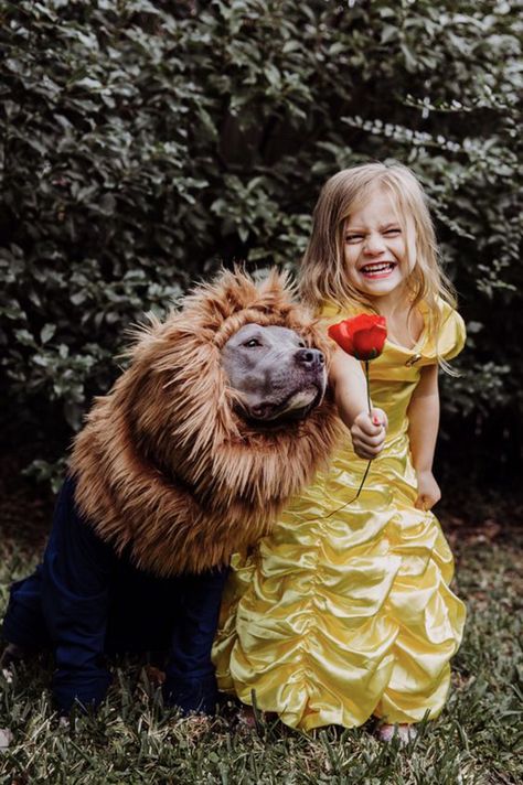 Beauty And The Beast Halloween Costume, Best Costume Ideas, The Beast Costume, Beauty And The Beast Costume, Beast Costume, Best Costume, Pet Halloween Costumes, Scary Costumes, Toddler Halloween Costumes