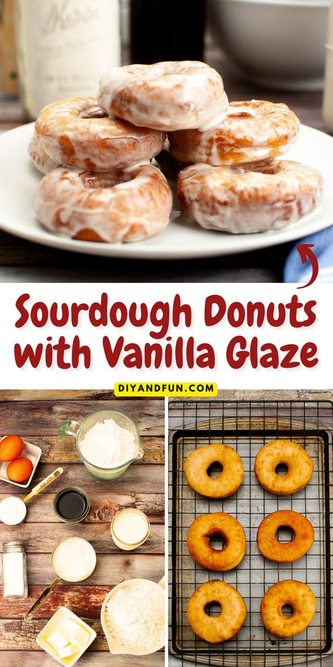 Sourdough Donuts with Vanilla Glaze - Easy Recipe! Sourdough Donut Recipe, Donut Recipe, Vanilla Glaze, Sour Dough, Simple Food, Tasty Bites, Sourdough Recipes, Mom Bloggers, Donut Recipes