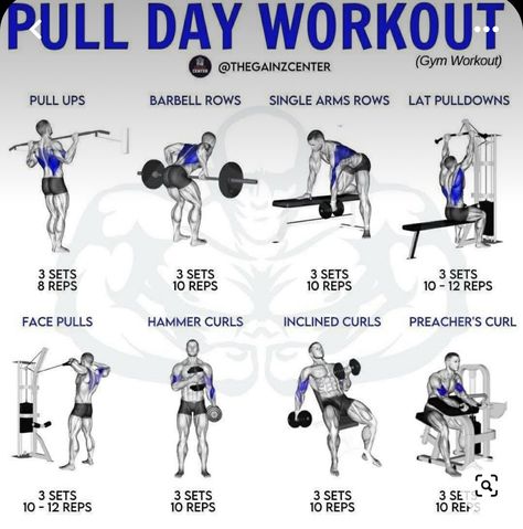 Dumbbell Pull Day, Pull Dumbbell Workout, Pull Day Workout Dumbbell, Pull Day Workout Gym, Pull Workouts, Push Pull Workout Routine, Pull Workout, Push Pull Workout, Pull Day Workout