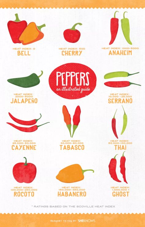 An Easy Guide to the Types of Peppers + How to Cook with Each including pepper corns Hot Pepper Chart, Types Of Peppers, Stuffed Anaheim Peppers, Hot Peppers, Food Info, Foods To Avoid, Food Facts, Stuffed Sweet Peppers, How To Eat Less