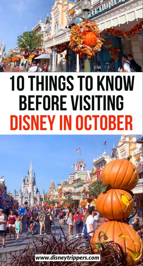 What To Wear To Disneyland In October, What To Wear To Disney World In October, Disney World In September, Disney In October, Disney World In October, Disneyland October, Halloween At Disney, Planning 2024, Disney World Itinerary