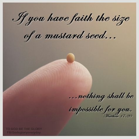 Faith the size of a mustard seed Mustard Seed Faith Quote, Seed Quotes, Mustard Seed Faith, Faith Quote, Jesus Return, Garden Quotes, Bible Knowledge, Keep The Faith, Faith Prayer