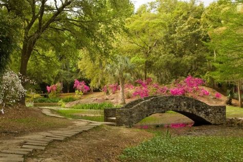 2. Jungle Gardens Avery Island, Swamp Tours, Jungle Gardens, Beautiful Park, Exotic Plants, Garden Bridge, Day Trips, Ecuador, Cool Places To Visit