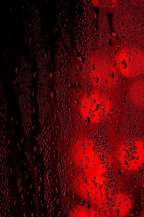 Rotting Aesthetic, Red Aesthetic Grunge, Red And Black Wallpaper, Dark Red Wallpaper, I See Red, Red Rain, Red Pictures, Red Room, Red Rooms