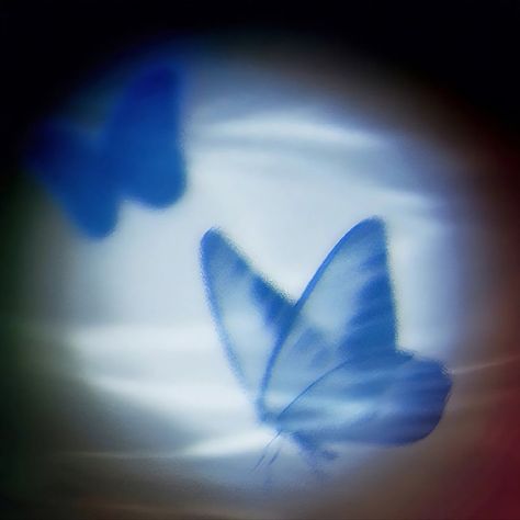 Soft Dark Aesthetic Pfp, Butterfly Icon Aesthetic, Blue Butterfly Aesthetic, Indigo Butterfly, Jungle Aesthetic, Vintage Retro Aesthetic, Ombre Wallpaper Iphone, Aesthetic Edgy, Aesthetic Artsy