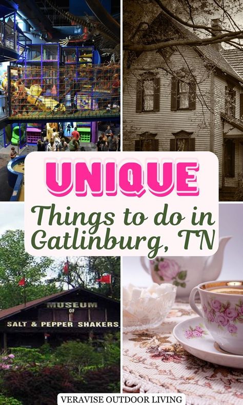 Unique Things To Do In Gatlinburg, TN Things To Do In Great Smoky Mountains, Gatlinburg At Christmas Time, Things To Do In Gatlinburg Tennessee, Gatlinburg Tennessee Aesthetic, Gatlinburg Tennessee Things To Do In, Gatlinburg Bachelorette, Gatlinburg Fall, Gatlinburg Restaurants, Tennessee Family Vacation