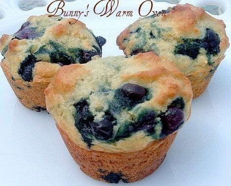 Recipe Using Plain Yogurt, Plain Yogurt Recipes, Vanilla Yogurt Recipes, Yogurt Dessert Recipes, Blueberries Muffins, Yogurt Desserts, Yogurt Blueberries, Blueberry Yogurt Muffins, Sunday Plans