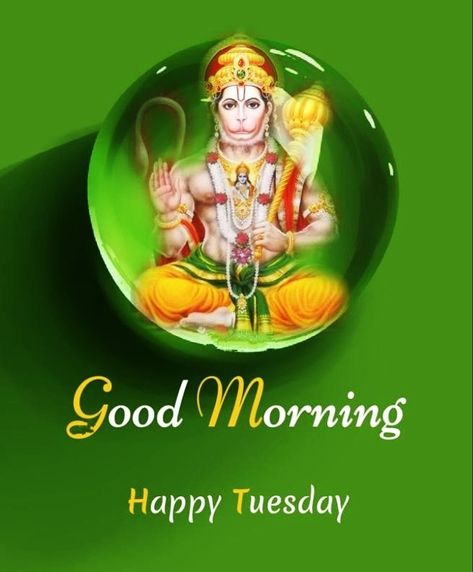 Best 40+ Tuesday Good Morning Images 5 Good Morning Images Tuesday, Tuesday Good Morning Images, Tuesday Morning Wishes, Good Morning Tuesday Images, Good Morning Gif Images, Good Morning Quotes In Hindi, Happy Tuesday Morning, Morning Images In Hindi, Good Morning Monday Images