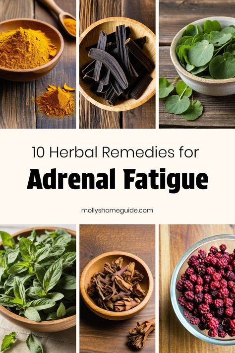 Discover natural support for adrenal fatigue with these best herbs and remedies. Explore adaptogenic herbs, herbal teas, and essential oils that may help relieve adrenal fatigue symptoms. These medicinal herbs offer adrenal support to combat low energy levels. Try DIY blends or supplements for adrenal fatigue relief. Embrace the power of nature with these effective solutions for managing adrenal fatigue in a healthy way. Herbs For Adrenal Support, Herbs For Fatigue, Adrenal Fatigue Essential Oil Blend, Herbs For Cortisol, Herbs For Adrenal Fatigue, Medicine Herb Garden, Adrenal Fatigue Symptoms Remedies, Herbal Tinctures Recipes, Herb Remedies