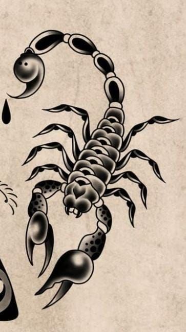 Scorpio Zodiac Tattoos, Tato Tradisional, Half Sleeve Tattoos Forearm, Old Scool, Traditional Style Tattoo, Insect Tattoo, Traditional Tattoo Sleeve, Tattoo Concepts, Scorpion Tattoo