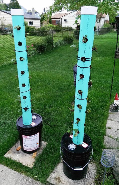 PVC Tower Garden. Vertical Planter Diy, Tower Garden Diy, Hydroponic Strawberries, Strawberry Tower, Vertical Vegetable Gardens, Planter Diy, Hydroponic Farming, Hydroponics Diy, Vertical Vegetable Garden