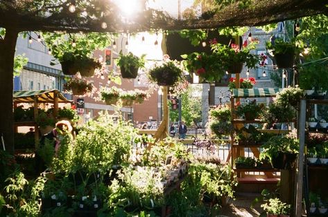 Kodak Ultramax 400, Ultramax 400, Film Camera Photography, All The Bright Places, 35mm Photography, Film Photography 35mm, Cinematic Photography, Summer Dream, Film Aesthetic