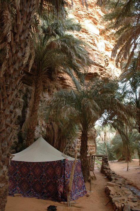 Terjit, another oasis in sandy Mauritania | There was a little stream in the desert and glowworms at night! Desert Oasis Aesthetic, Mauritania Aesthetic, Arabian Desert Aesthetic, Oasis Aesthetic, Streams In The Desert, Desert Tent, Oasis In The Desert, Old Western Towns, Desert Places