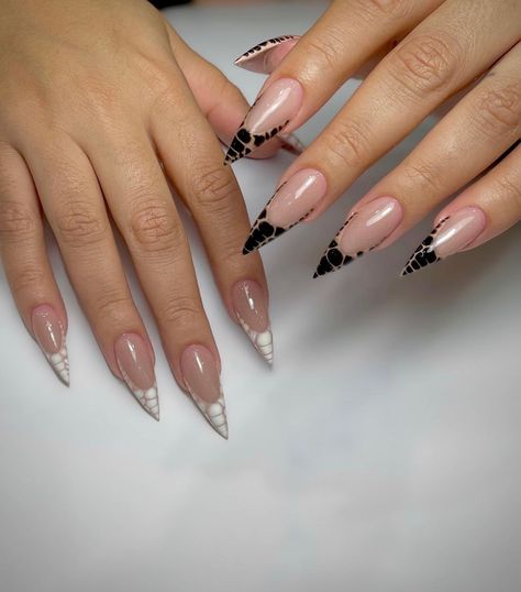 Black And White Nail Tip Designs, Unique White French Tip Nails, Stiletto Black French Tip Nails, Different Types Of French Tip Nails, White French Tip Designs, Black And White Stiletto Nails, French Tip Designs Nails, Black And White French Nails, Black And White French Tip Nails