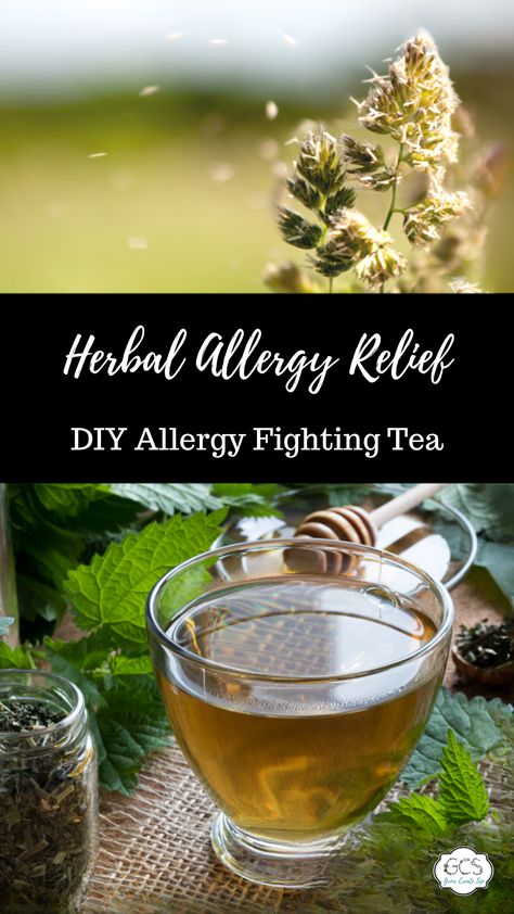 Herbal Allergy Relief, Herbs For Allergies, Medicinal Teas, Allergy Season, Tea Crafts, Medicinal Tea, Healing Tea, Allergy Remedies, Herbal Teas Recipes