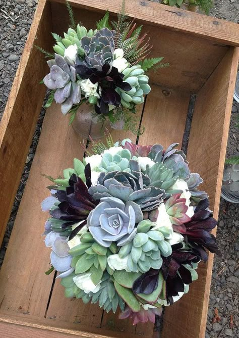 Succulents Wedding Flowers, Bouquet Succulent, Mini Carnations, Tafel Decor, Succulent Bouquet, Succulent Centerpieces, Succulent Wedding, Succulent Arrangements, Wedding Arrangements