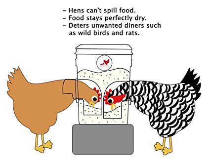 Chicken Aesthetic, Chicken Feeder Diy, Chicken Bucket, Poultry Feeders, Raising Canes, Chicken Owner, Chicken Feeders, Backyard Chicken Farming, Chicken Feeder