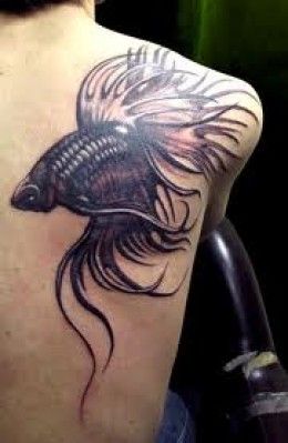 awesome Siamese fighting fish tattoo Betta Tattoo, Betta Fish Tattoo, Fish Face, Koi Tattoo, Koi Fish Tattoo, Fish Tattoo, Awesome Tattoos, Tattoo Designs And Meanings, Back Tattoos