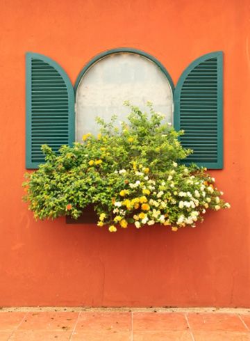 Decorating Window Boxes for House Plants Exterior Wall Ideas, Window Flowers, Window Box Flowers, Faux Window, Old Shutters, Craftsman Exterior, Pottery Houses, Wall Exterior, Growing Plants Indoors