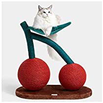 Check this out at Amazon Cat Scratch Post, Small Cat Tree, Kitten Beds, Cactus Cat, Pet Hammock, Cat Scratch, Cat Hammock, Indoor Cats, Small Animal Supplies