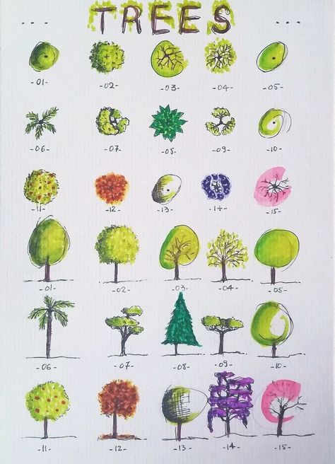 Trees In Elevation Architecture, Plan And Elevation Of Trees, Tree Plan And Elevation, Architectural Trees Drawing, Architectural Trees Plan And Elevation, Tree Elevation Architecture, Trees In Elevation, Trees In Plan, Trees Sheet