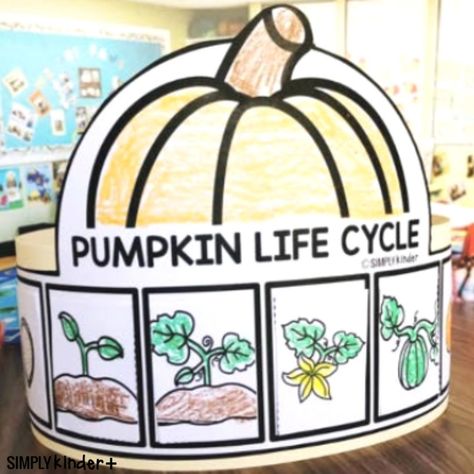 Pumpkin Life Cycle Hat - Simply Kinder Plus Pumpkin Day Activities Kindergarten, Pumpkin Activity Kindergarten, Pumpkin Projects For Kindergarten, Pumpkin Day Kindergarten, Pumpkin Life Cycle Printable, Pumpkin Life Cycle Kindergarten, Pumpkin Activities For Kindergarten, Pumpkin Craft Kindergarten, Pumpkin Life Cycle Craft