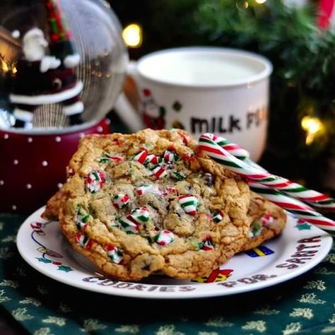 Chocolate Chip Candy Cane Cookies - I have it on good authority that these are Santa's favourite Candy Cane Cookie Recipe, Cookies And Candy, Xmas Recipes, Rock Recipes, Candy Cane Cookies, Chewy Chocolate Chip, Chewy Chocolate Chip Cookies, Perfect Cookie, Indulgent Desserts