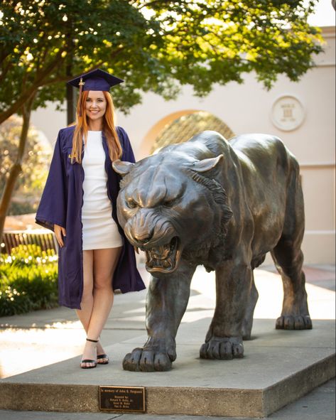 College graduation pictures with Mike the Tiger. Lsu Senior Pictures, Gsu Graduation Pictures, Lsu Graduation Pictures, Decision Day Photoshoot Lsu, Mizzou Graduation Pictures, Lsu College Graduation Pictures, Nsu Graduation Pictures, Graduation Poses Cap And Gown, University Pictures