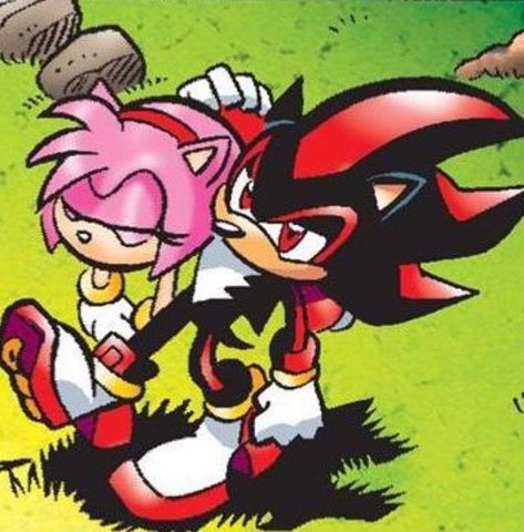 Shadow Amy, Shadamy Comics, Shadow And Amy, Amy The Hedgehog, Cartoon Books, Sonic Funny, Sonic Franchise, Purple Girls, Sonic And Shadow