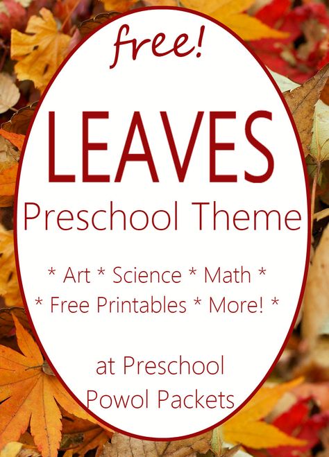 Fun leaf activities for a preschool leaf theme! Math, science, crafts, and more! Tree And Leaf Activities For Preschool, Leaf Unit Preschool, Leaf Lesson Plans Preschool, When The Leaf Blew In Activities, Preschool Tree Activities, Leaf Activities Preschool, Preschool Leaves Activities, Leaves Preschool, Leaves Activities