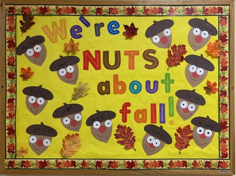 Acorns made by children! Acorn Bulletin Board Ideas, Acorn Bulletin Board, Preschool Board Ideas, Preschool Boards, Fall Classroom Decorations, Fall Classroom, Thanksgiving Preschool, Bulletin Board Ideas, Board Ideas