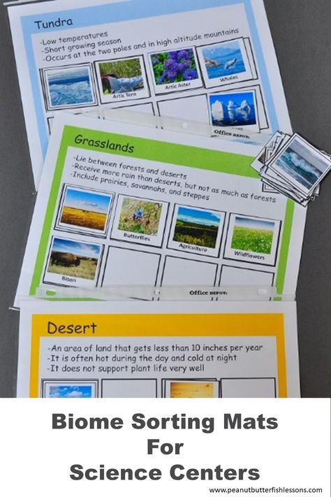 Download these sorting mats to help your students review animals, plants and vocabulary from 7 different biomes. Biomes Activities, Butter Fish, Homeschool Science Experiments, Science Unit Studies, Science Centers, Sorting Mats, 5th Grade Science, Science Units, Homeschool Printables