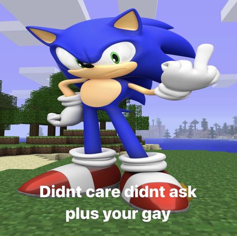 Silly Sonic, Sonic Meme, Funny Sonic, My Honest Reaction, Random Meme, Honest Reaction, Sonic Funny, Sonic Franchise, Sonic And Shadow