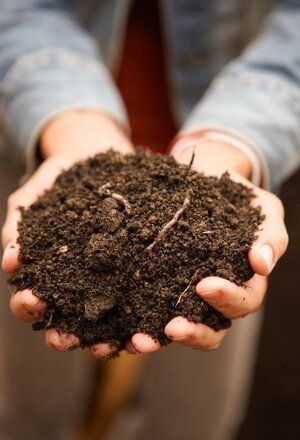 compost-dirt-worms-garden-gardening-010d238e Compost Bin Diy, Diy Compost, How To Make Compost, Witch Garden, Healthy Lawn, Gardening Techniques, Garden Compost, Garden Shrubs, Succulent Wall