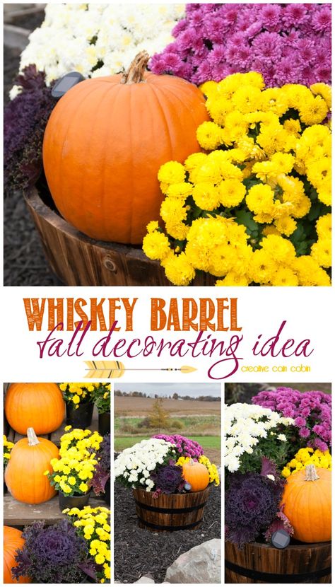 Whiskey Barrel Decorate For Fall Using Mums, Pumpkins, and Kale with a Small Solar Landscape Light to Show it All Off at Night Iphone Wallpaper Rustic, Whiskey Barrel Planter, Wine Barrel Planter, Mums In Pumpkins, Fall Yard Decor, Fall Landscaping, Fall Backyard, Decorate For Fall, Barrel Decor