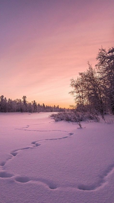 Wallpaper Snow, Snow View, Sunset Iphone Wallpaper, Snow Wallpaper, Iphone Wallpaper Winter, Photography Settings, Scandinavian Wallpaper, Ice Snow, Cold Ice