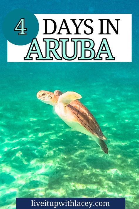 Things To Do In Aruba, Tortola British Virgin Islands, Aruba Vacation, Visit Aruba, Aesthetic Tropical, Travel Island, Island Aesthetic, Aruba Travel, Vacation Itinerary