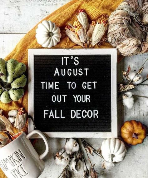 Yep it's August 5th and I am thinking about fall decor! Fall Letterboard Quotes, Fall Letterboard, Letterboard Quotes, Autumn Quotes, Fabulous Fall, Fall Feels, Happy Fall Y'all, Fall Holidays, Autumn Cozy