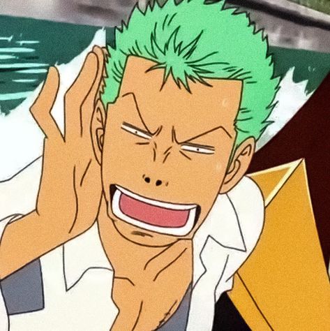 #funny Zoro Funny Face Icon, Zoro Confused Face, Zoro Memes Funny, One Piece Zoro Funny, Roronoa Zoro Funny, Zoro Funny Face, One Piece Funny Faces, Funny Zoro, Zoro Meme