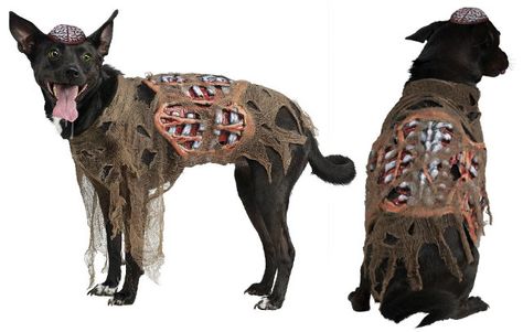 Hellhound / zombie dog - pet costume Homemade Zombie Costume, Chihuahua Halloween Costumes, Dog Zombie, Best Dog Halloween Costumes, Zombie Dog, Dog Costumes Funny, Halloween Costume Store, Zombie Walk, Cat Halloween Costume