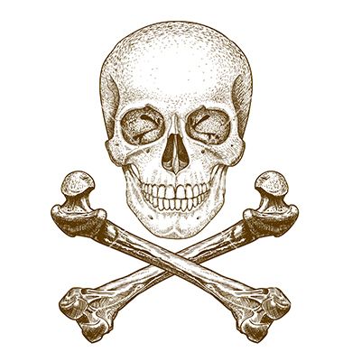 Engraving+skull+and+bones+vector+2067010+-+by+Andrii_Oliinyk on VectorStock® Skull Art Tattoo, Pirate Tattoo, Bone Tattoos, Skull Art Drawing, Skulls Drawing, Cross Bones, Engraving Illustration, Pirate Skull, Skull Drawing